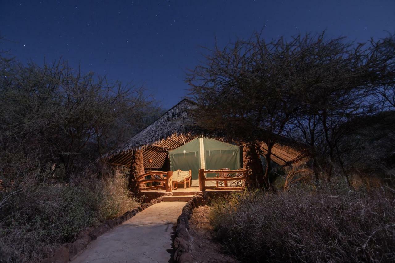 Lodge Kibo Safari Camp *